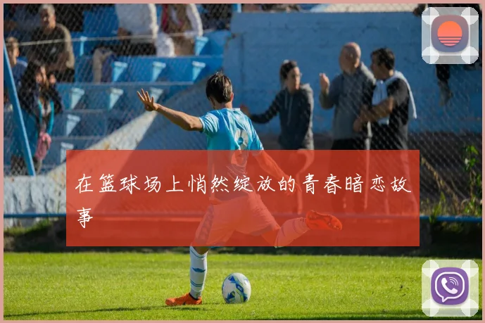 在篮球场上悄然绽放的青春暗恋故事