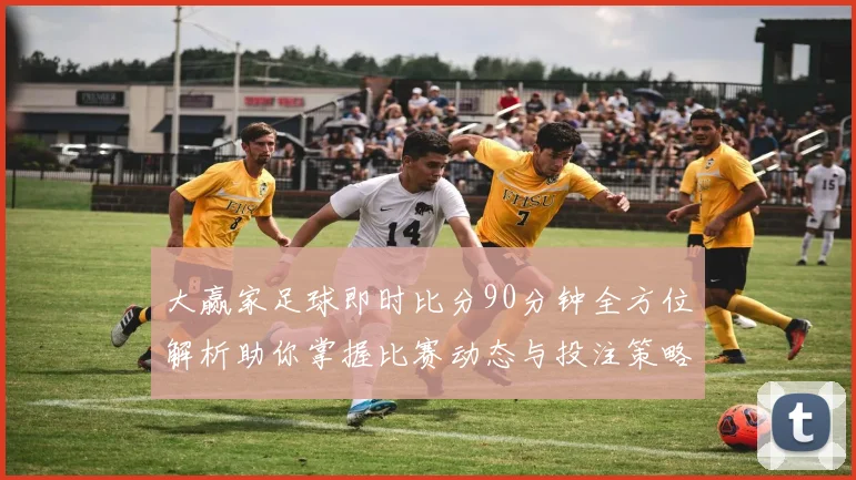 大赢家足球即时比分90分钟全方位解析助你掌握比赛动态与投注策略