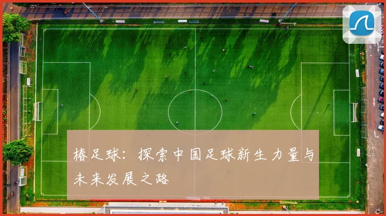 椿足球：探索中国足球新生力量与未来发展之路
