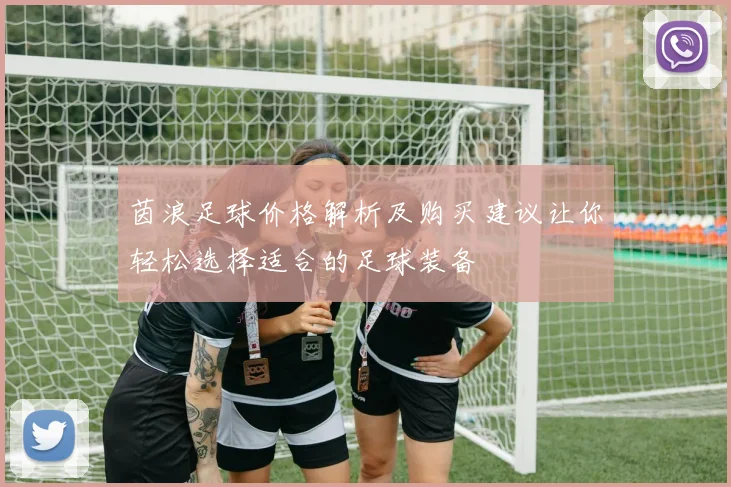 茵浪足球价格解析及购买建议让你轻松选择适合的足球装备